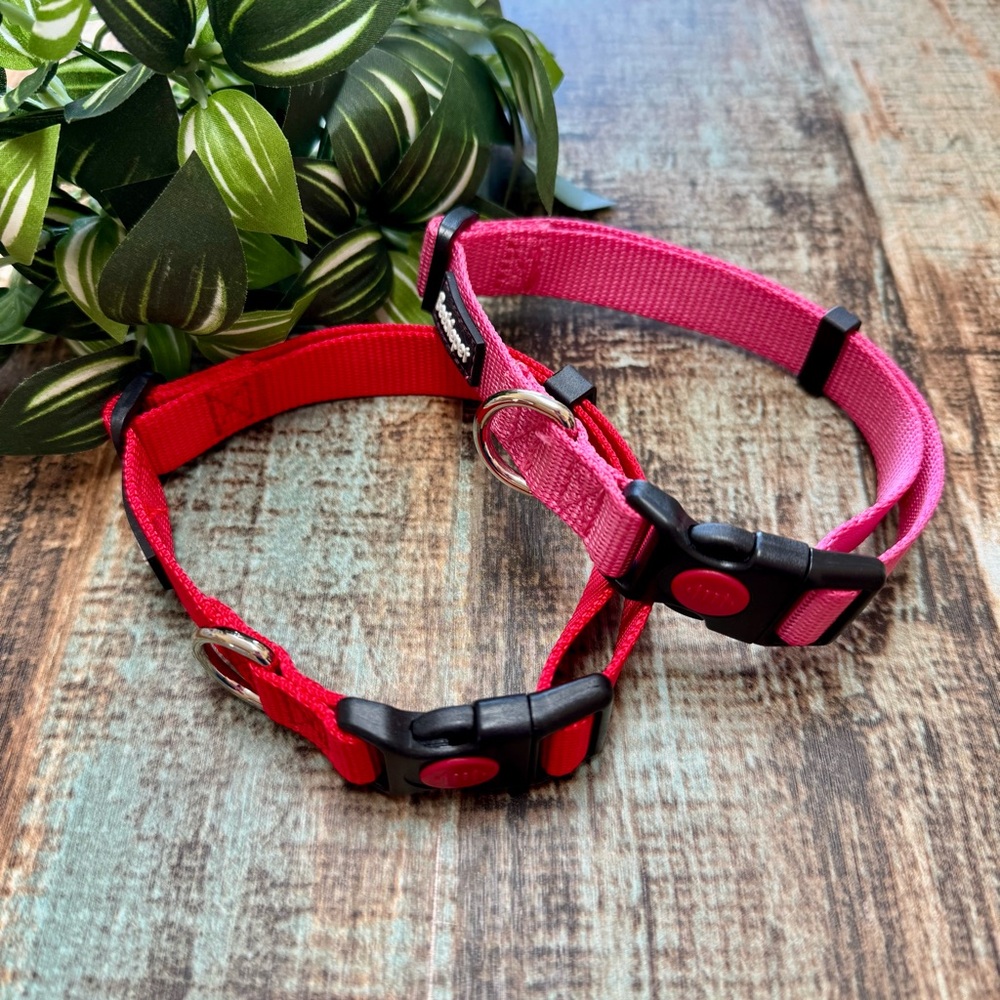 🆕 Set of Two “Beebiepet” Dog Collars | #L12